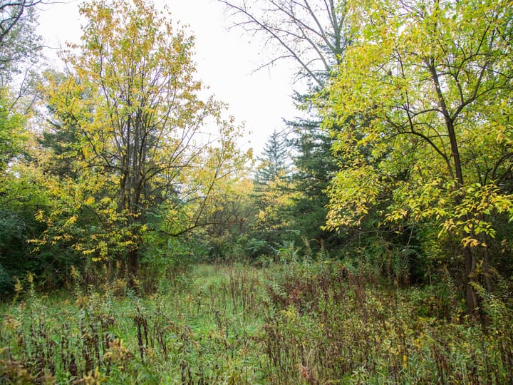 Peoria Il 107 Acres Land For Sale Property7