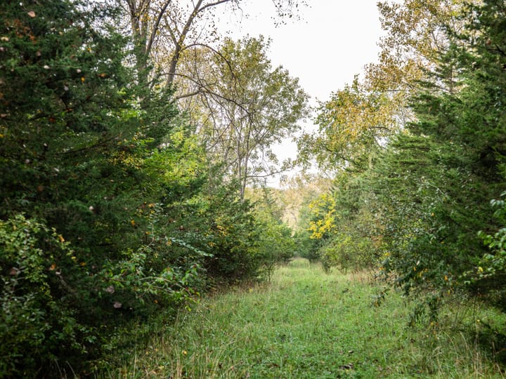Peoria Il 107 Acres Land For Sale Property12