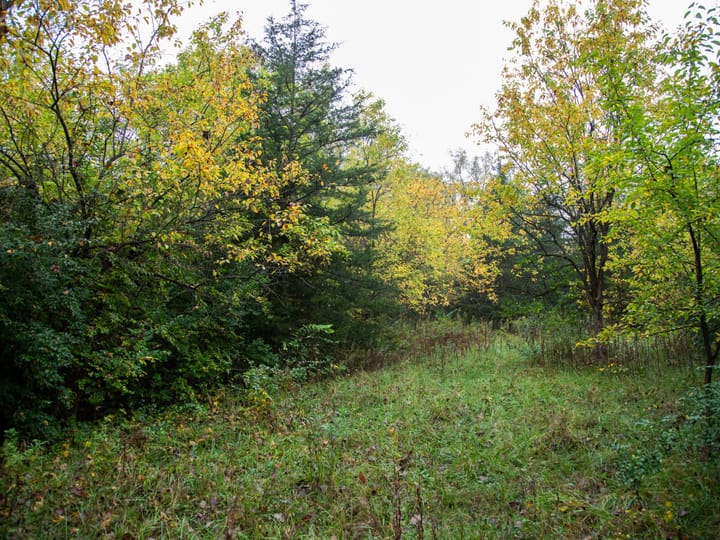 Peoria Il 107 Acres Land For Sale Property5