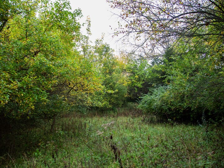Peoria Il 107 Acres Land For Sale Property3