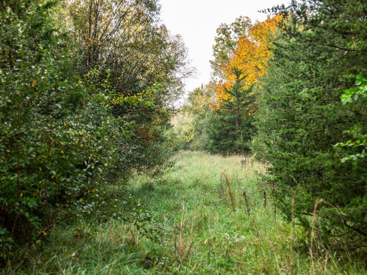 Peoria Il 107 Acres Land For Sale Property11