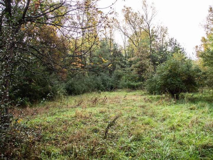 Peoria Il 107 Acres Land For Sale Property13