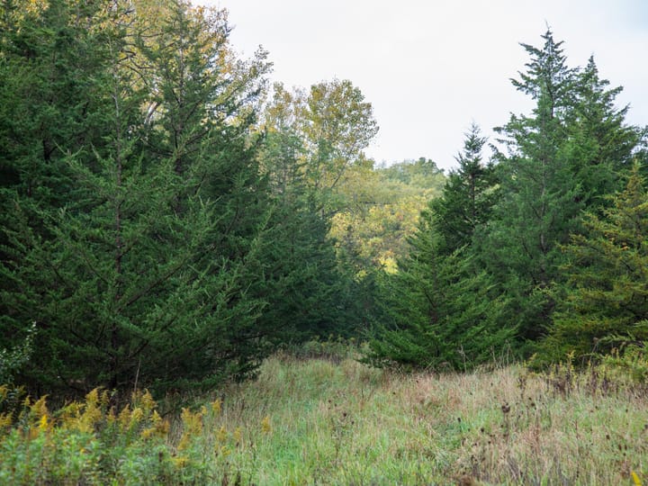 Peoria Il 107 Acres Land For Sale Property8