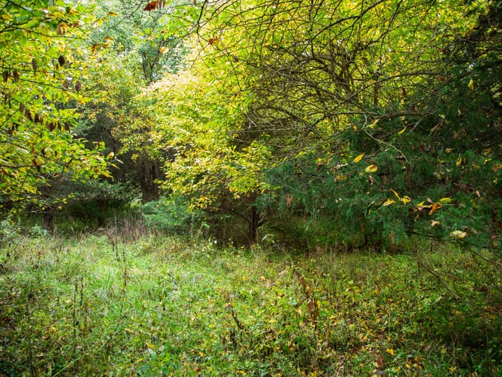 Peoria Il 107 Acres Land For Sale Property2