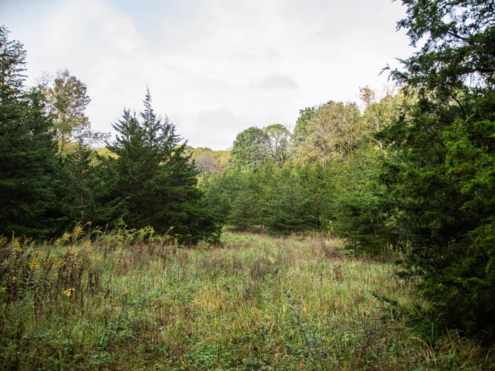 Peoria Il 107 Acres Land For Sale Property10