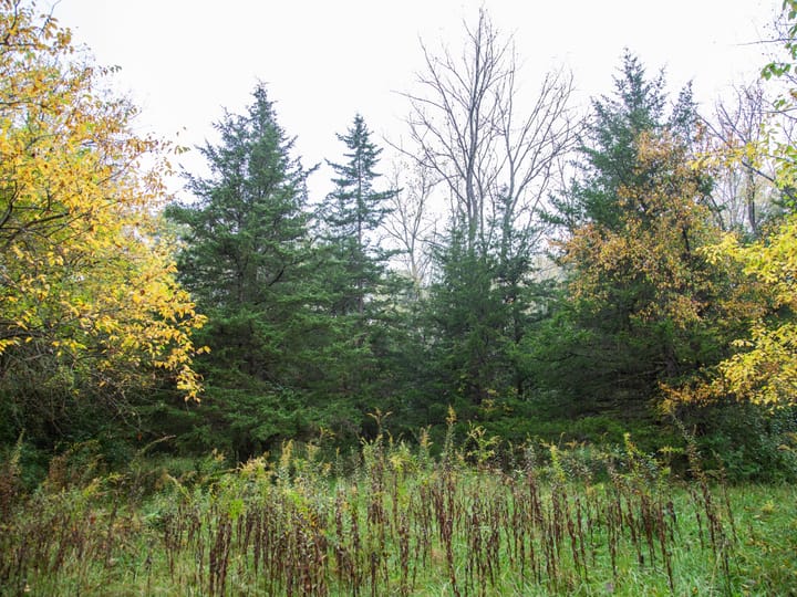 Peoria Il 107 Acres Land For Sale Property6