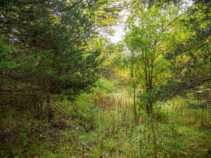 Peoria Il 107 Acres Land For Sale Property4