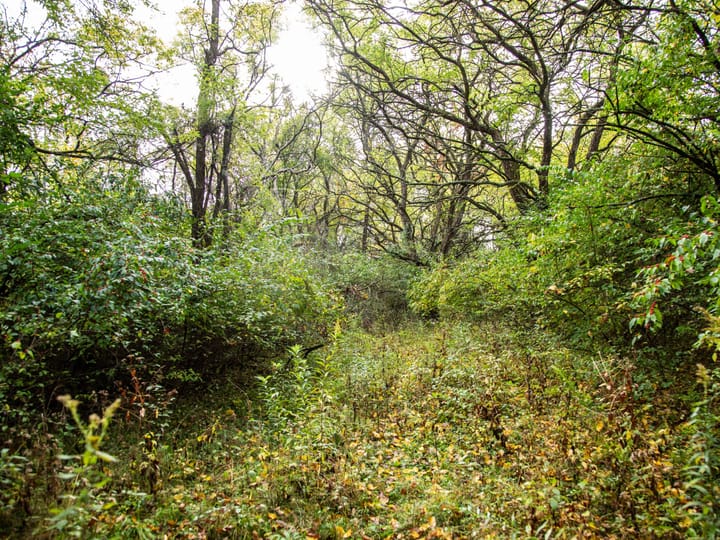 Peoria Il 107 Acres Land For Sale Property15