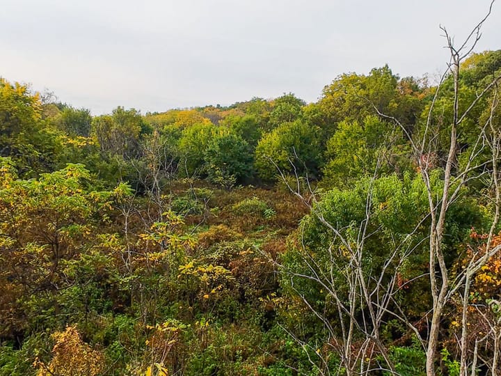 Peoria Il 107 Acres Land For Sale Aerials10