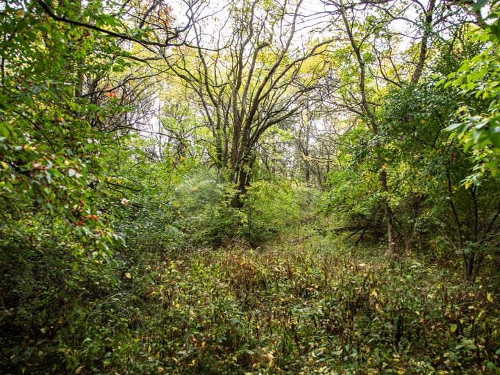 Peoria Il 107 Acres Land For Sale Property16