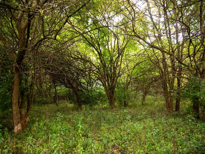 Peoria Il 107 Acres Land For Sale Property1