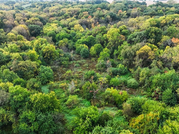 Peoria Il 107 Acres Land For Sale Aerials7