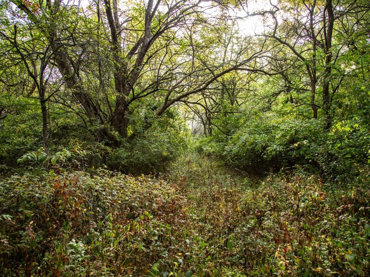 Peoria Il 107 Acres Land For Sale Property14