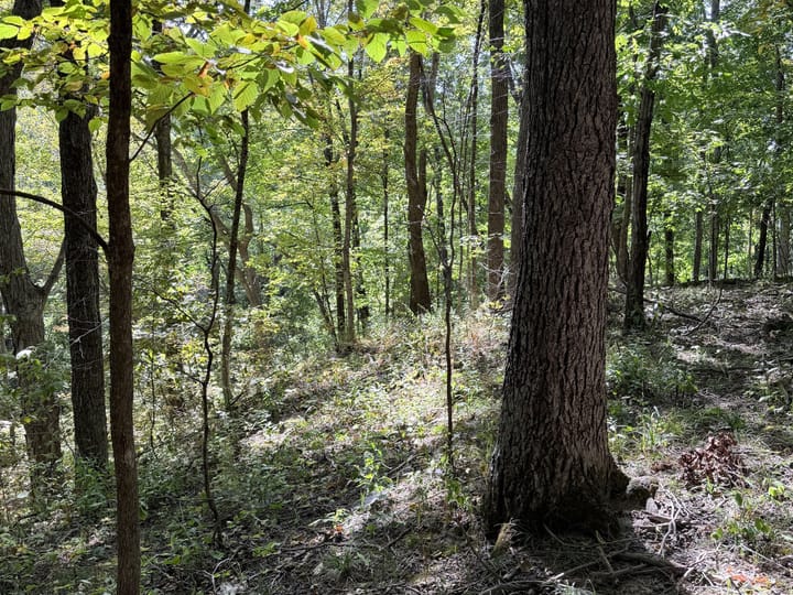 Coles Il 15 5 Acres Land For Sale Property21 Jpg