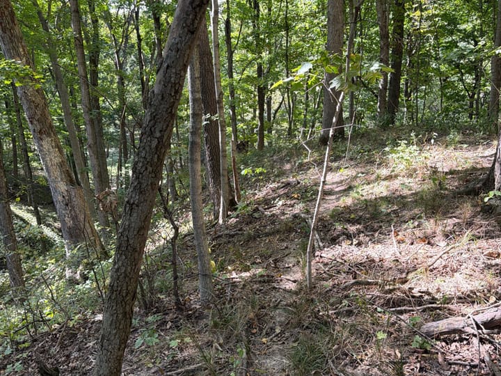 Coles Il 15 5 Acres Land For Sale Property4 Jpg