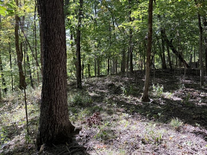 Coles Il 15 5 Acres Land For Sale Property22 Jpg