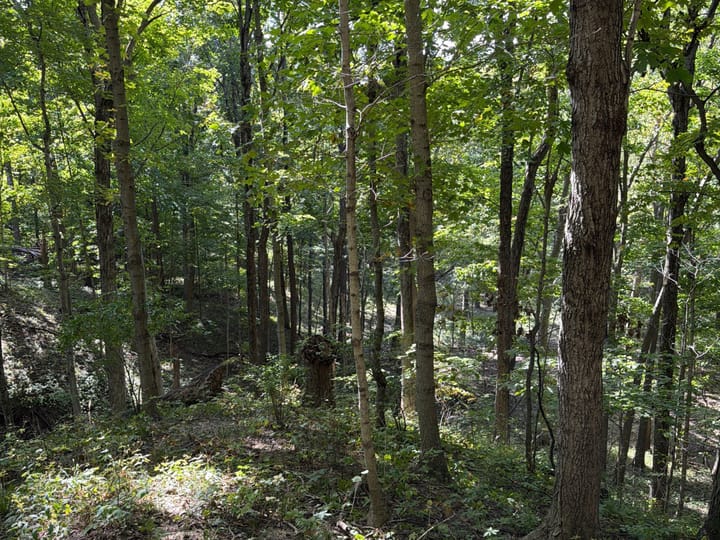 Coles Il 15 5 Acres Land For Sale Property6 Jpg
