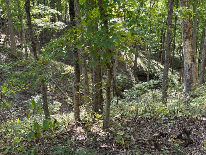 Coles Il 15 5 Acres Land For Sale Property2 Jpg