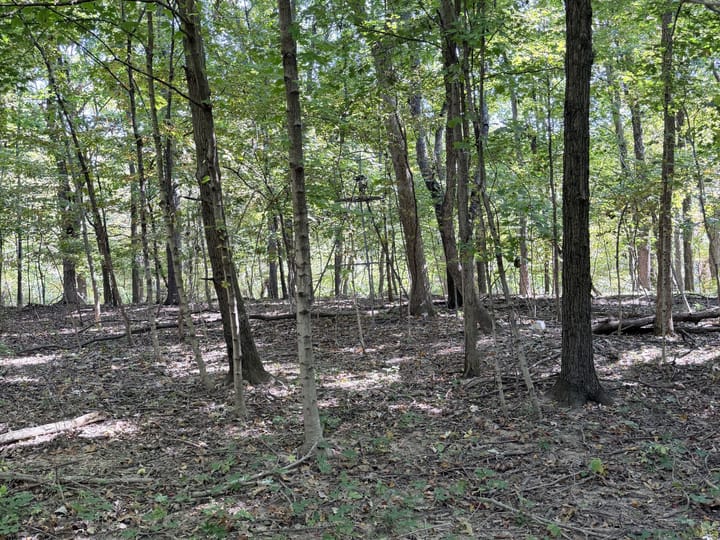 Coles Il 15 5 Acres Land For Sale Property20 Jpg