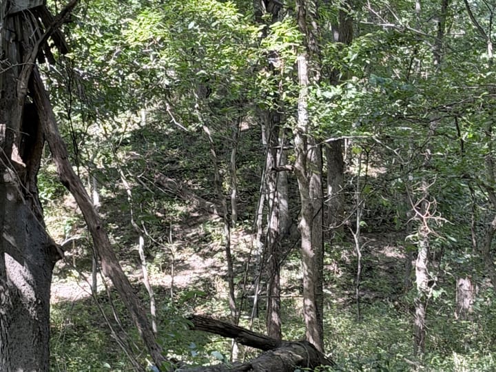 Coles Il 15 5 Acres Land For Sale Property14 Jpg