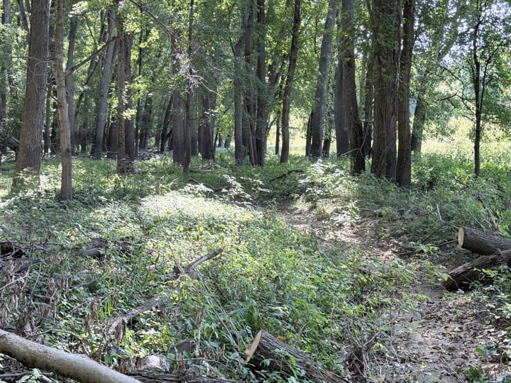 Coles Il 15 5 Acres Land For Sale Property16 Jpg