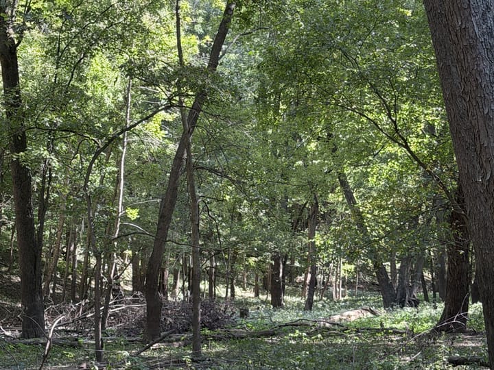 Coles Il 15 5 Acres Land For Sale Property17 Jpg