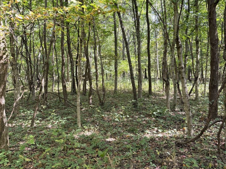 Coles Il 15 5 Acres Land For Sale Property19 Jpg