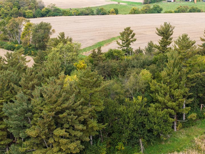 Knox Il 77 85 Acres Land For Sale Aerials6