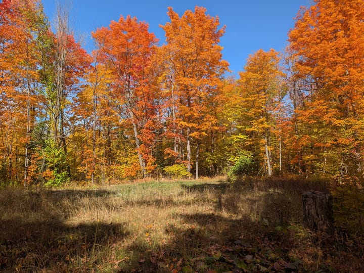 Iron Wi 40 Acres Land For Sale Property7