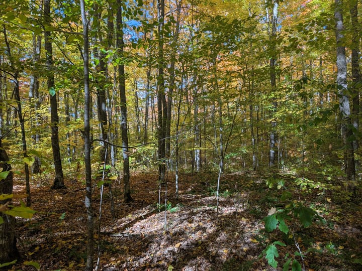 Iron Wi 40 Acres Land For Sale Property16