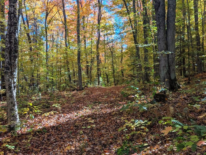 Iron Wi 40 Acres Land For Sale Property12