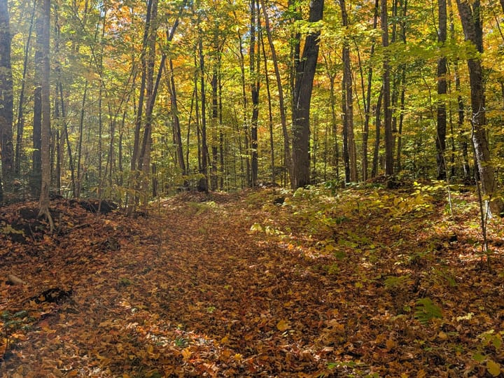 Iron Wi 40 Acres Land For Sale Property10