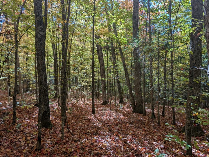 Iron Wi 40 Acres Land For Sale Property23