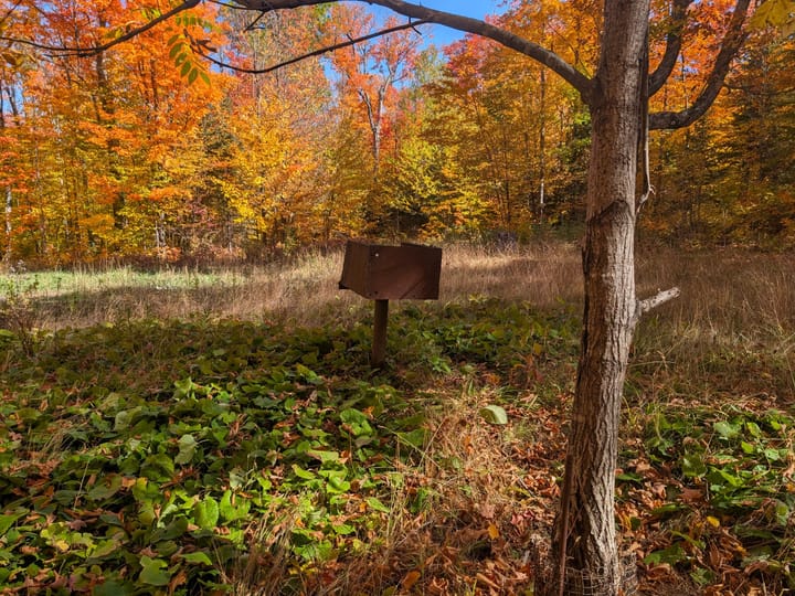 Iron Wi 40 Acres Land For Sale Property27