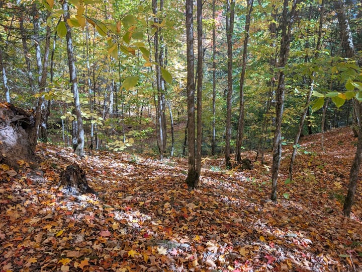 Iron Wi 40 Acres Land For Sale Property11