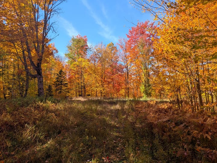 Iron Wi 40 Acres Land For Sale Property28