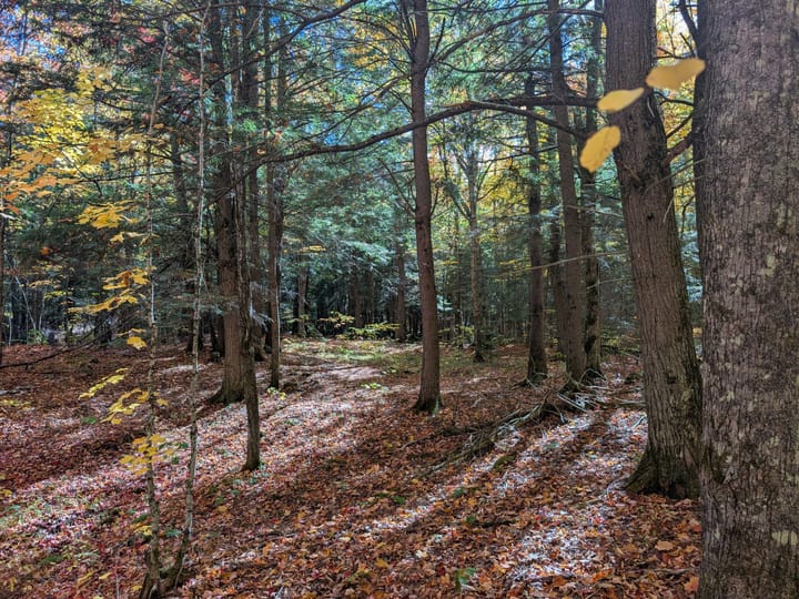 Iron Wi 40 Acres Land For Sale Property14
