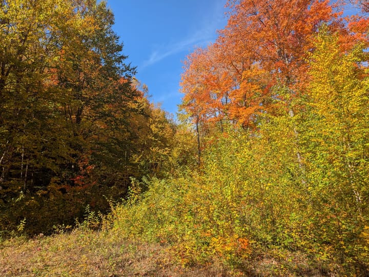 Iron Wi 40 Acres Land For Sale Property13