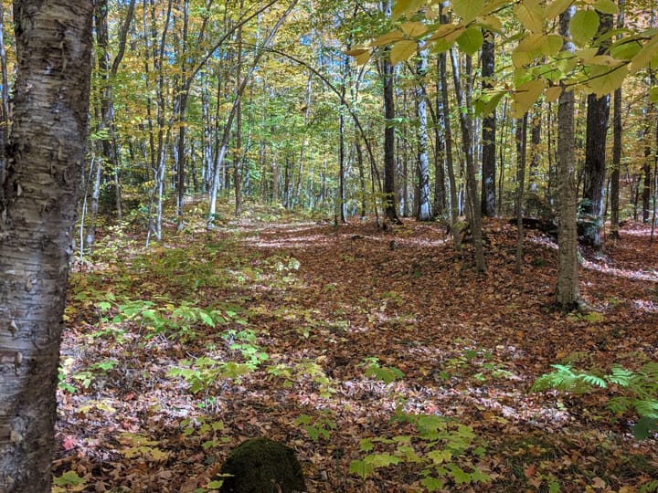 Iron Wi 40 Acres Land For Sale Property8