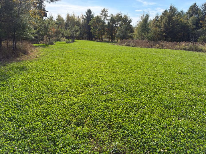 Wood Wi 80 Acres Land For Sale Property1 Jpg