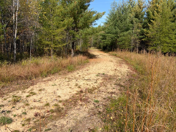 Wood Wi 80 Acres Land For Sale Property23