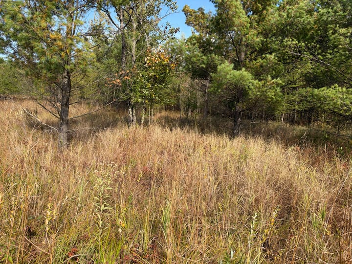 Wood Wi 80 Acres Land For Sale Property2