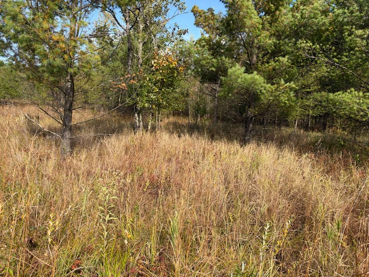 Wood Wi 80 Acres Land For Sale Property2 Jpg