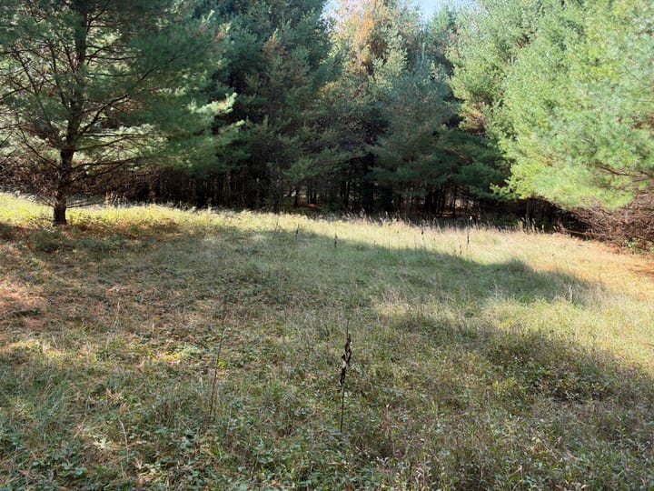 Wood Wi 80 Acres Land For Sale Property12