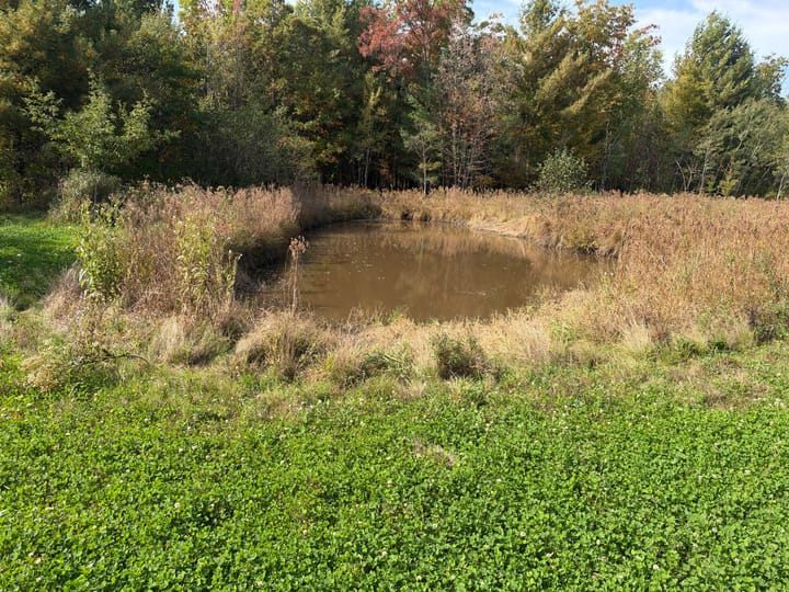 Wood Wi 80 Acres Land For Sale Property6
