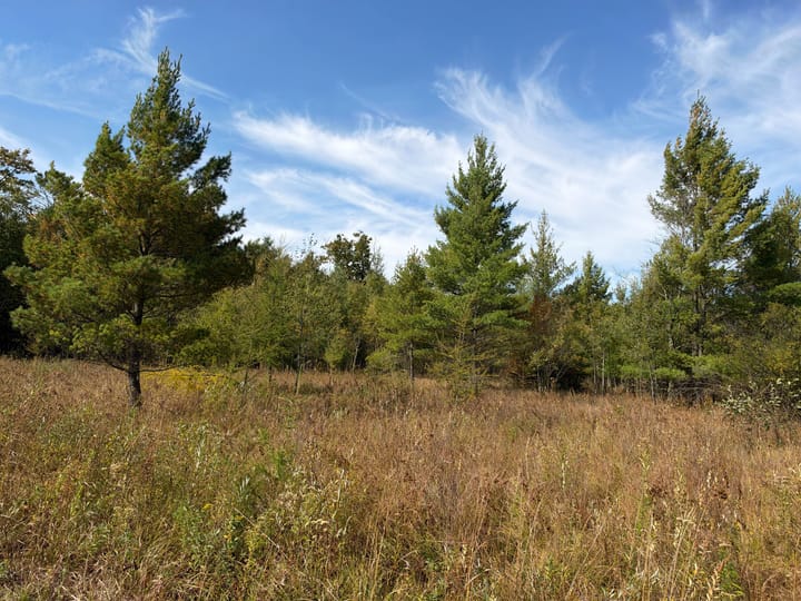 Wood Wi 80 Acres Land For Sale Property3