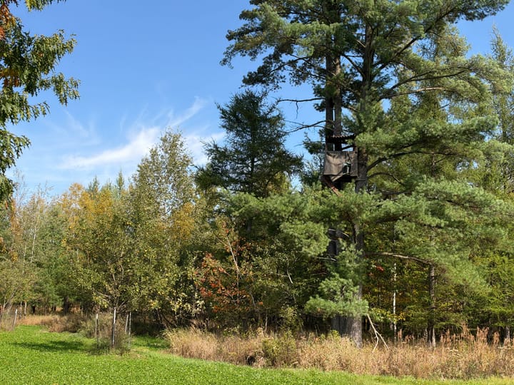 Wood Wi 80 Acres Land For Sale Property8