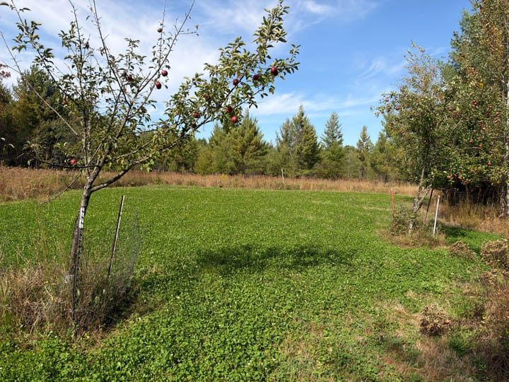 Wood Wi 80 Acres Land For Sale Property5