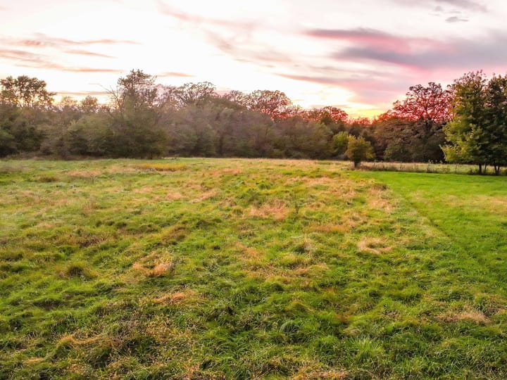 Wapello Ia 25 Acres Land For Sale Property6