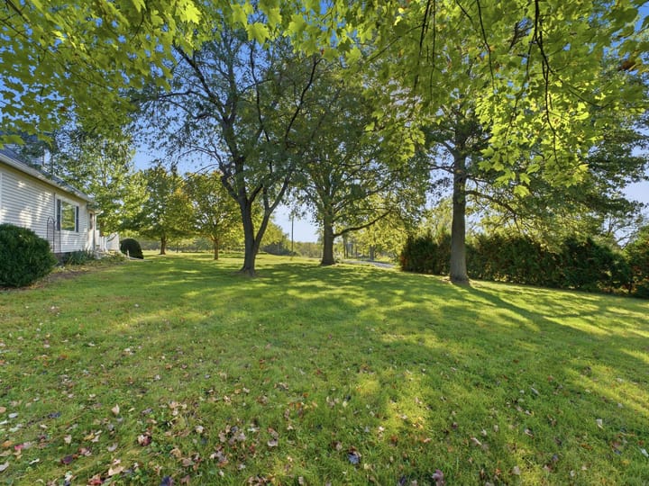 Mercer Il 80 Acres Land For Sale Property4